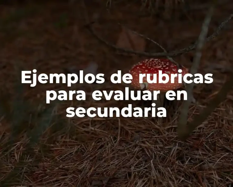 Ejemplos de rubricas para evaluar en secundaria