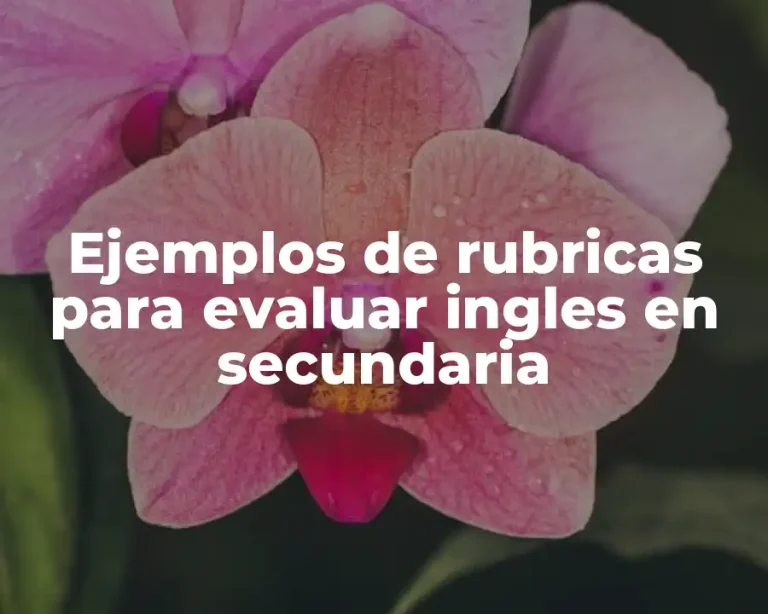 Ejemplos de rubricas para evaluar ingles en secundaria