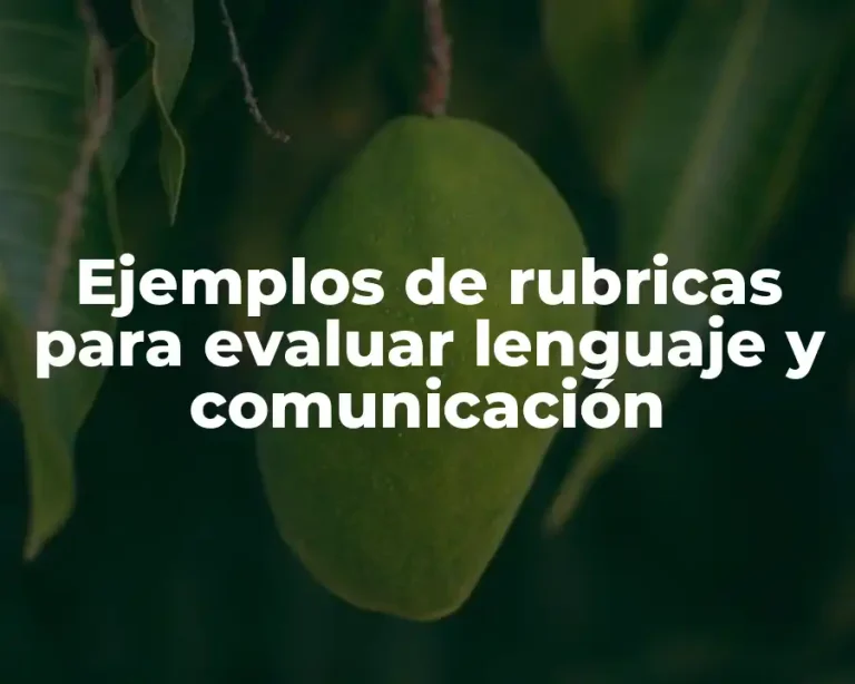 Ejemplos de rubricas para evaluar lenguaje y comunicación