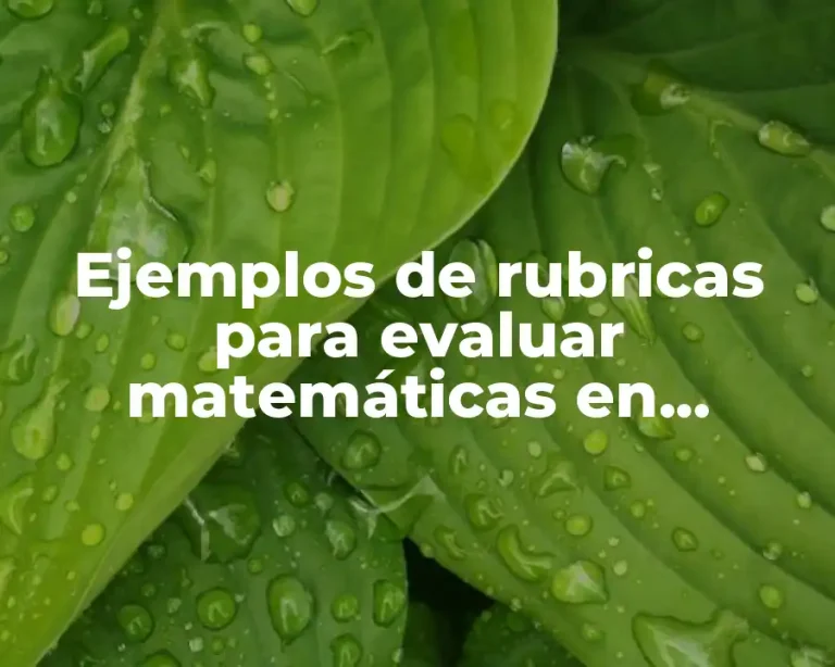 Ejemplos de rubricas para evaluar matemáticas en primaria
