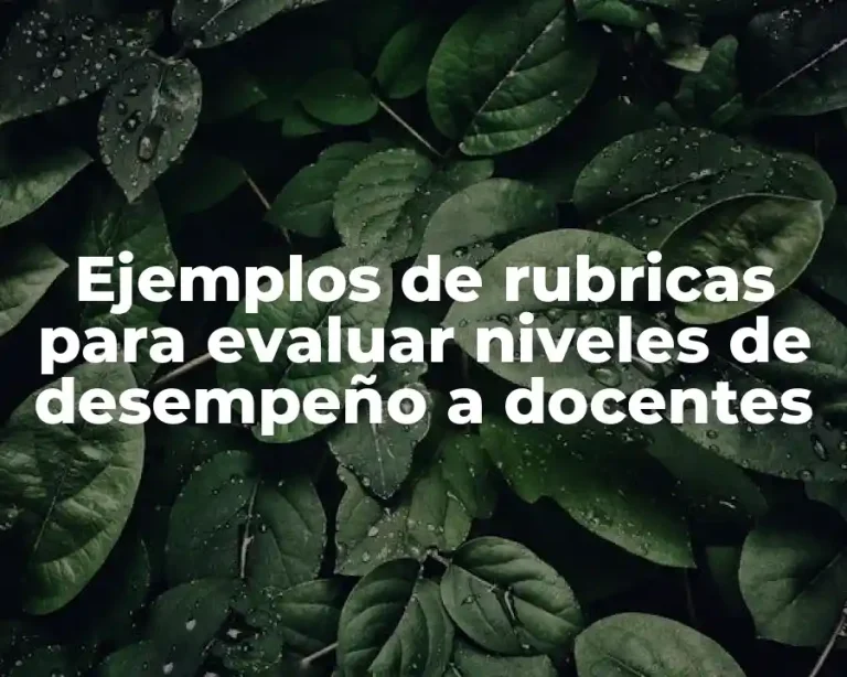 Ejemplos de rubricas para evaluar niveles de desempeño a docentes