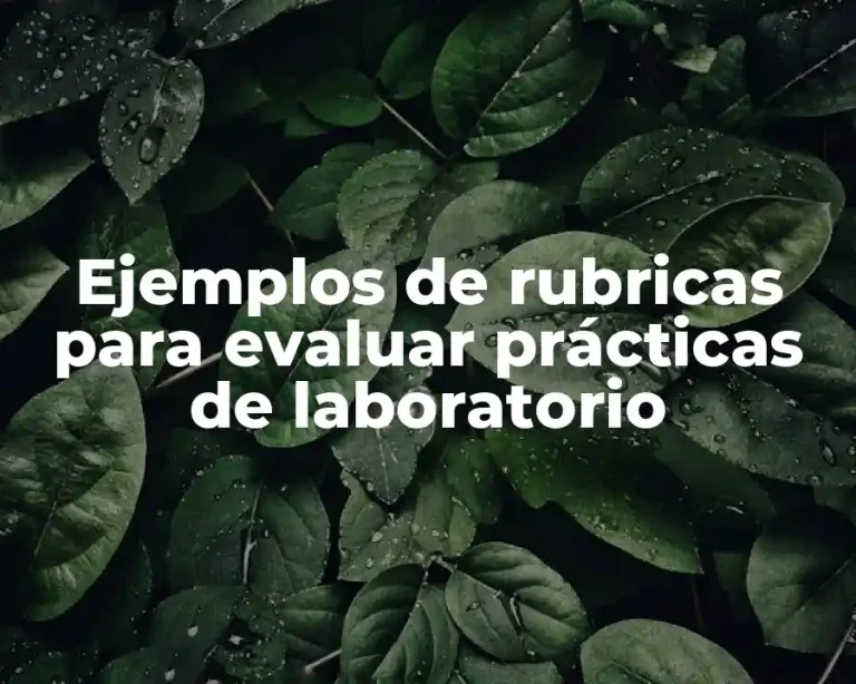 Ejemplos de rubricas para evaluar prácticas de laboratorio