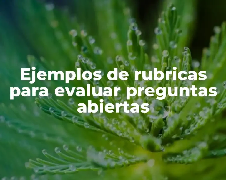 Ejemplos de rubricas para evaluar preguntas abiertas