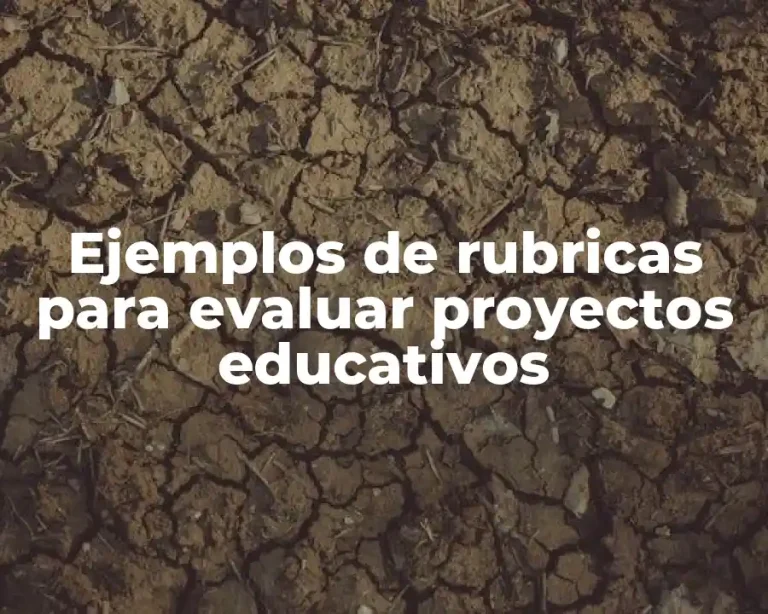 Ejemplos de rubricas para evaluar proyectos educativos