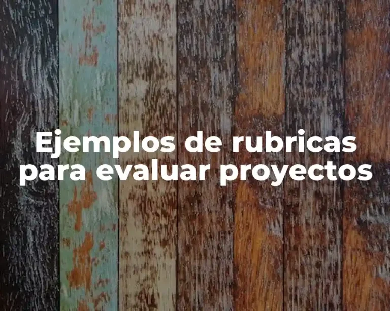 Ejemplos de rubricas para evaluar proyectos