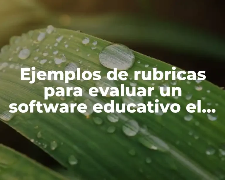 Ejemplos de rubricas para evaluar un software educativo el Drive6 y Significado
