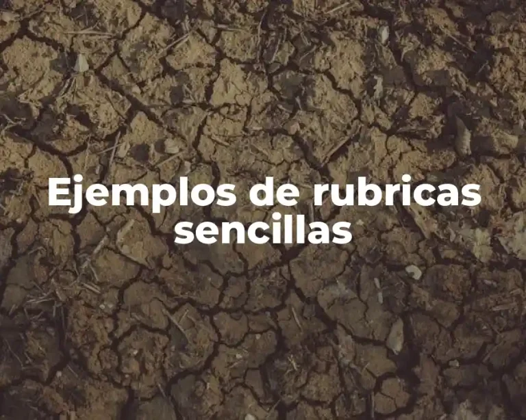 Ejemplos de rubricas sencillas