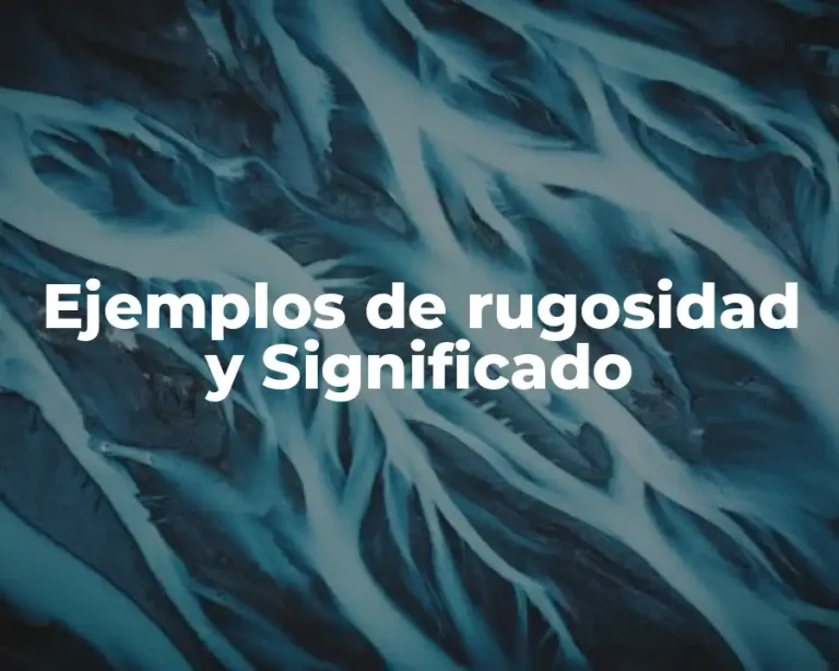 Ejemplos de rugosidad y Significado