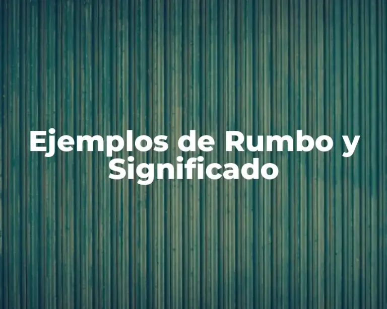 Ejemplos de Rumbo y Significado