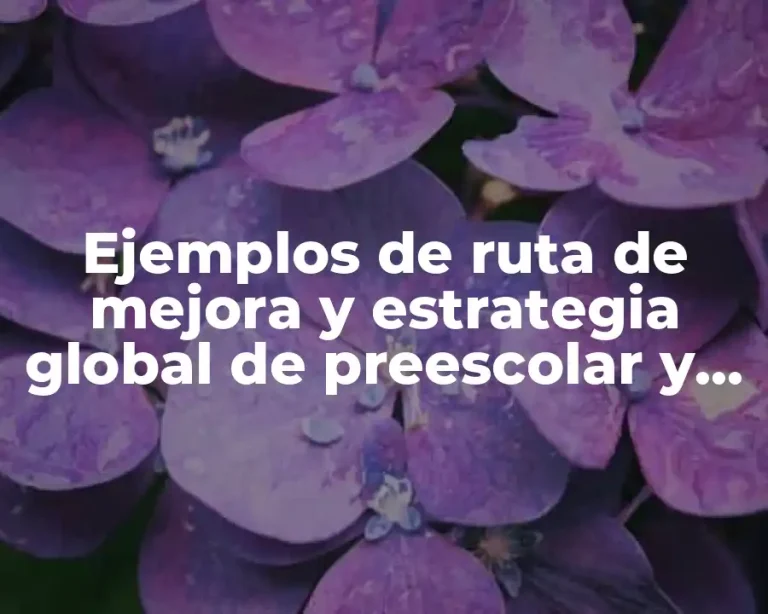 Ejemplos de ruta de mejora y estrategia global de preescolar y Significado