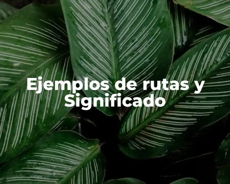 Ejemplos de rutas y Significado