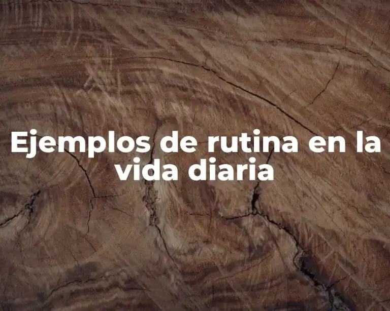 Ejemplos de rutina en la vida diaria