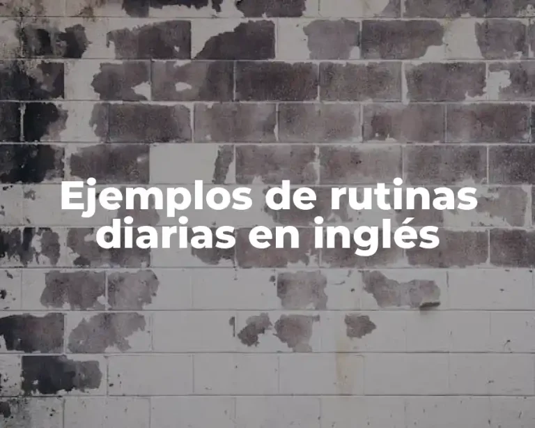 Ejemplos de rutinas diarias en inglés