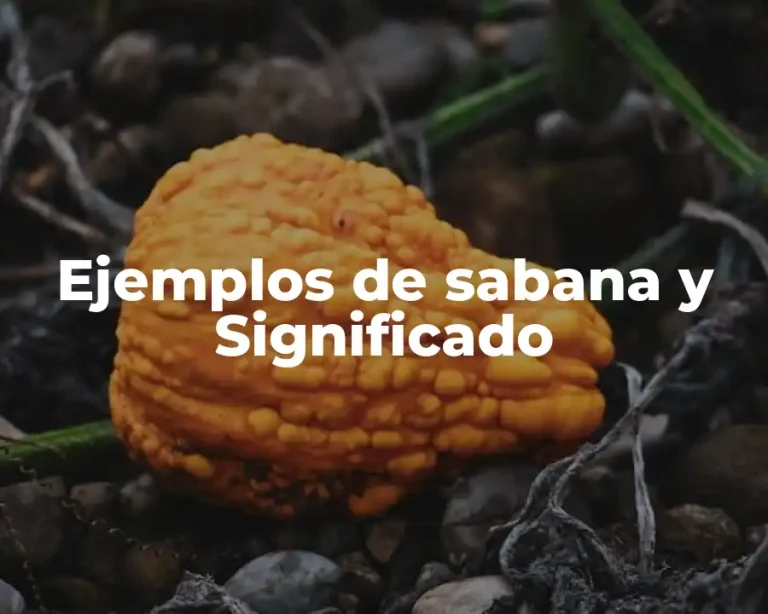 Ejemplos de sabana y Significado