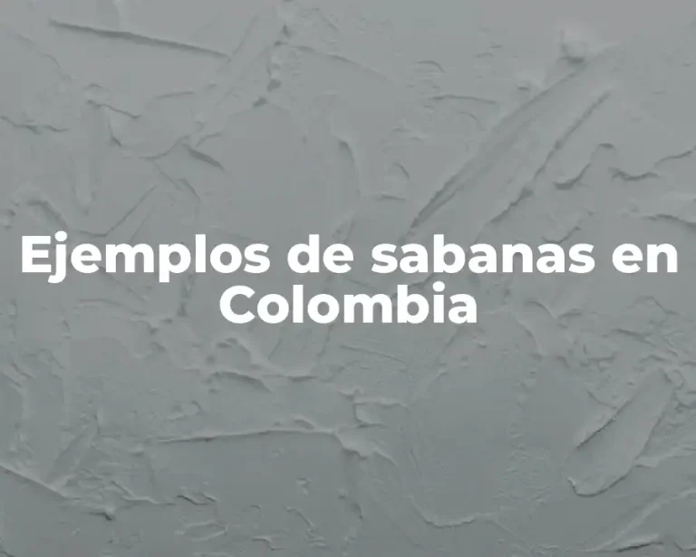 Ejemplos de sabanas en Colombia