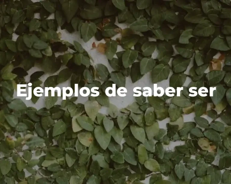 Ejemplos de saber ser