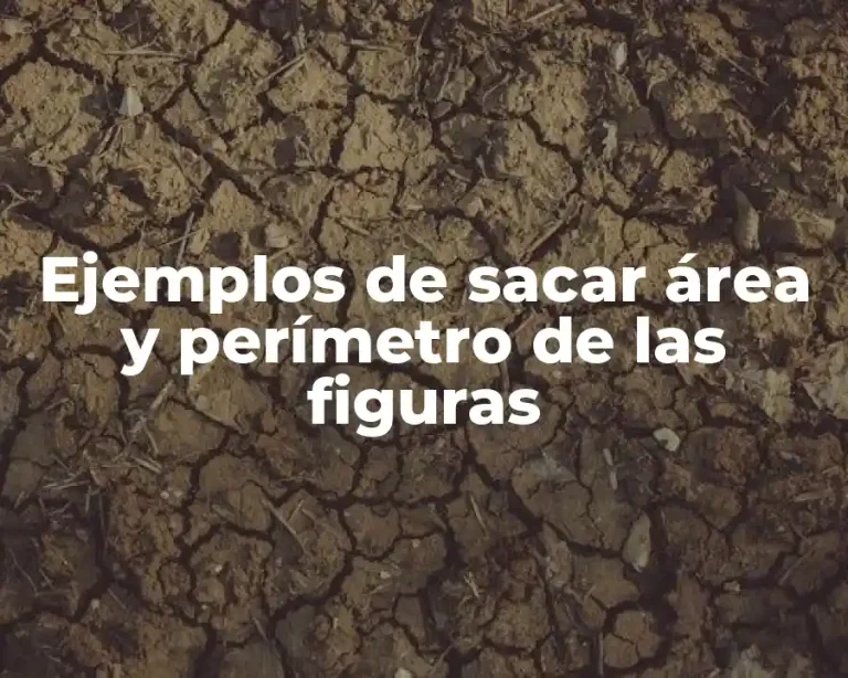 Ejemplos de sacar área y perímetro de las figuras