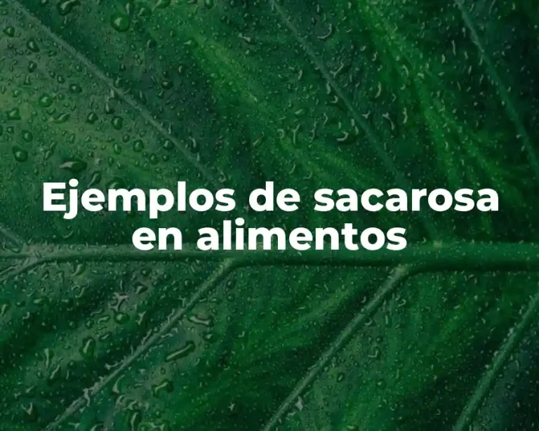 Ejemplos de sacarosa en alimentos