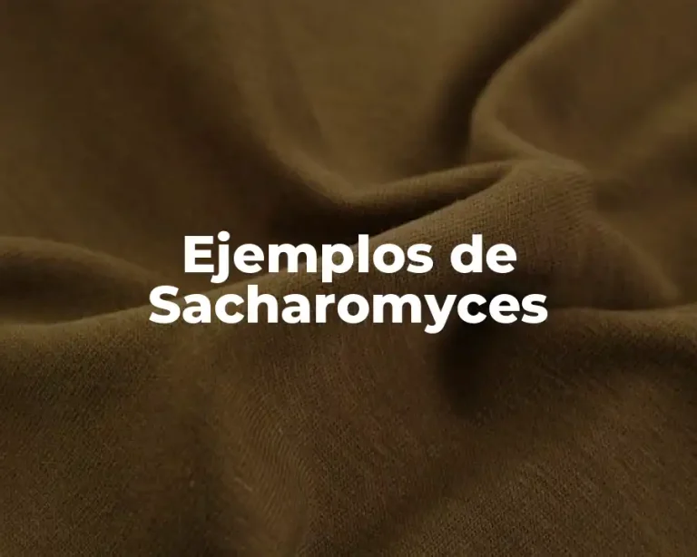 Ejemplos de Sacharomyces