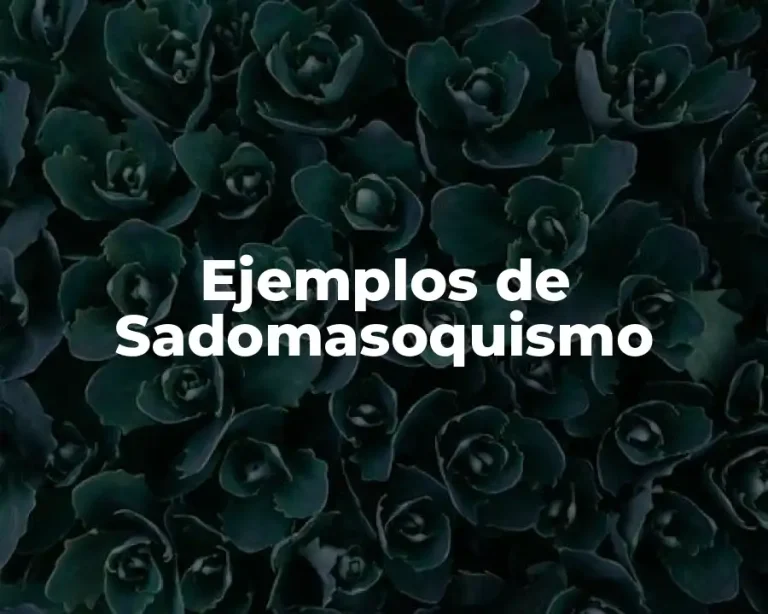 Ejemplos de Sadomasoquismo