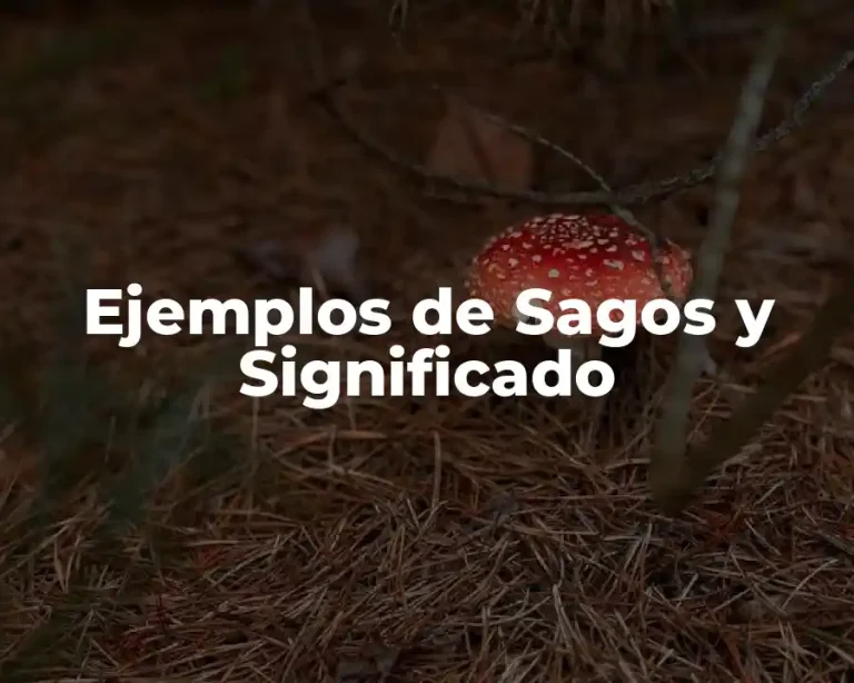 Ejemplos de Sagos y Significado