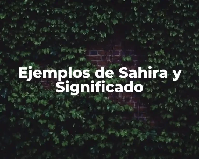 Ejemplos de Sahira y Significado