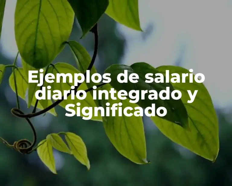 Ejemplos de salario diario integrado y Significado