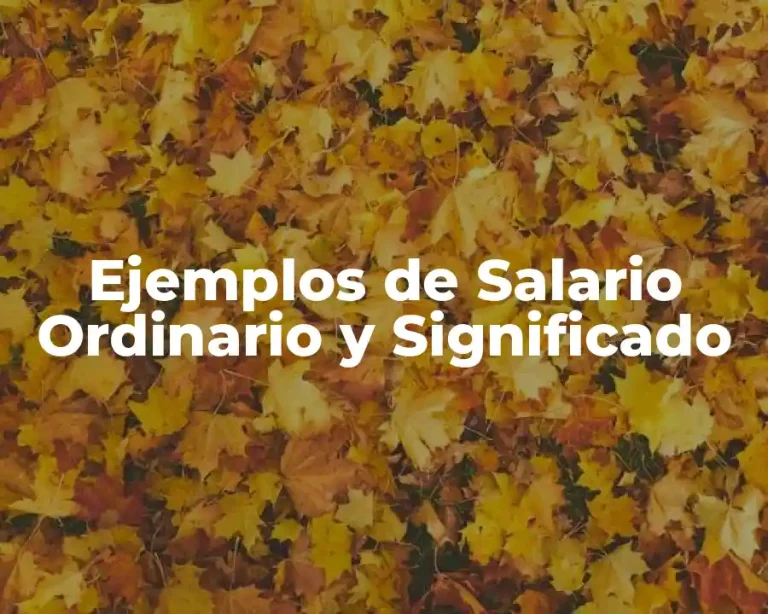 Ejemplos de Salario Ordinario y Significado