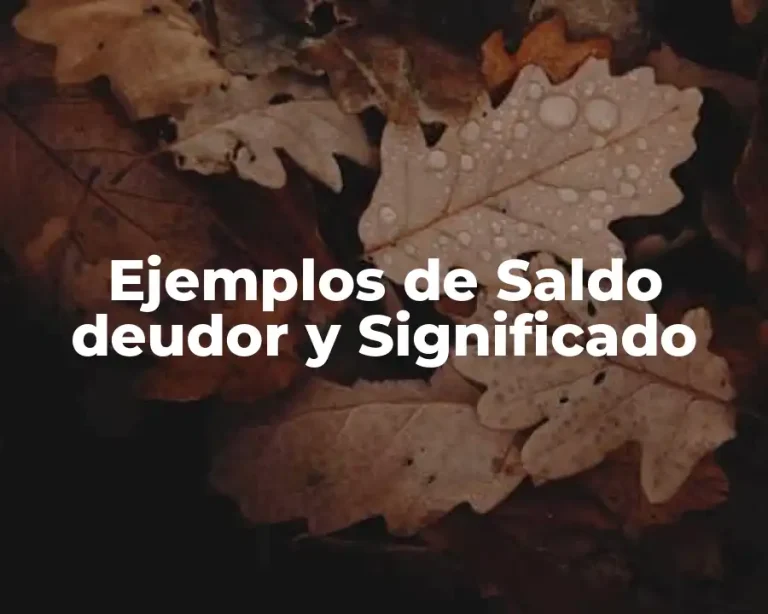 Ejemplos de Saldo deudor y Significado