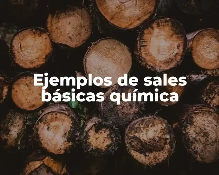 Ejemplos de sales básicas química