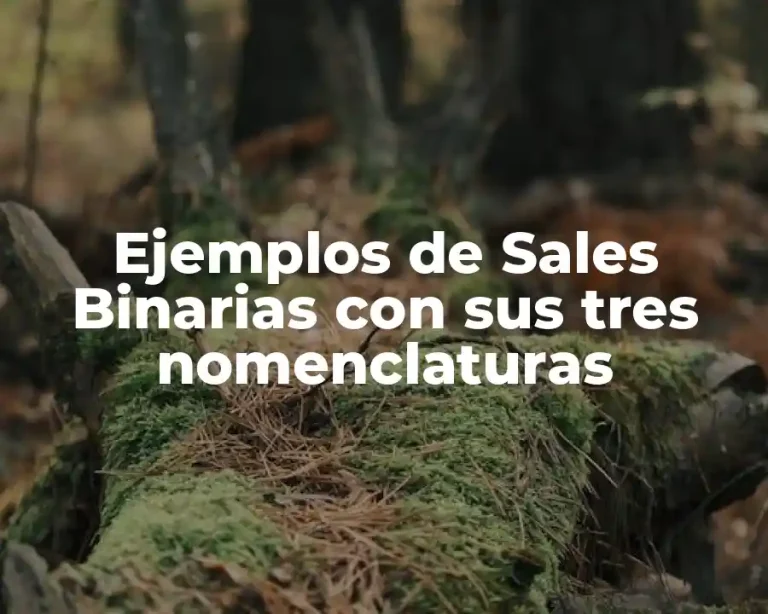 Ejemplos de Sales Binarias con sus tres nomenclaturas