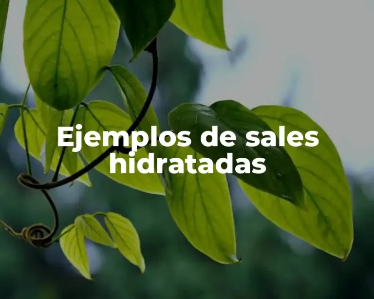 Ejemplos de sales hidratadas