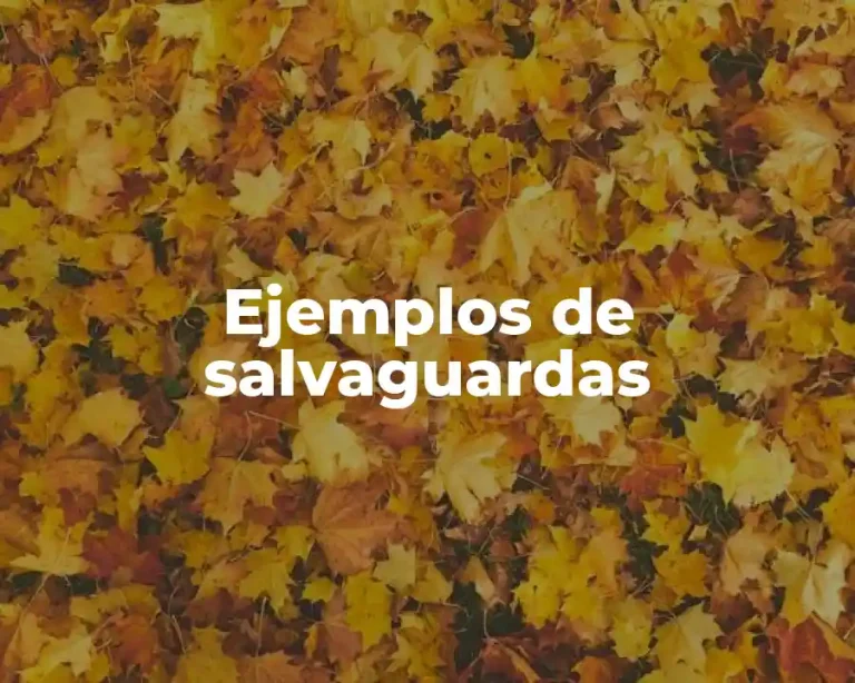 Ejemplos de salvaguardas