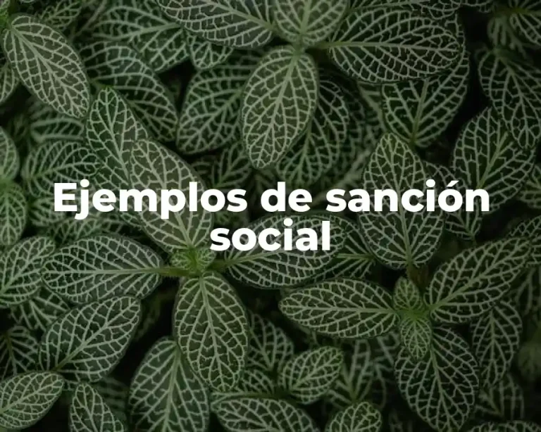 Ejemplos de sanción social