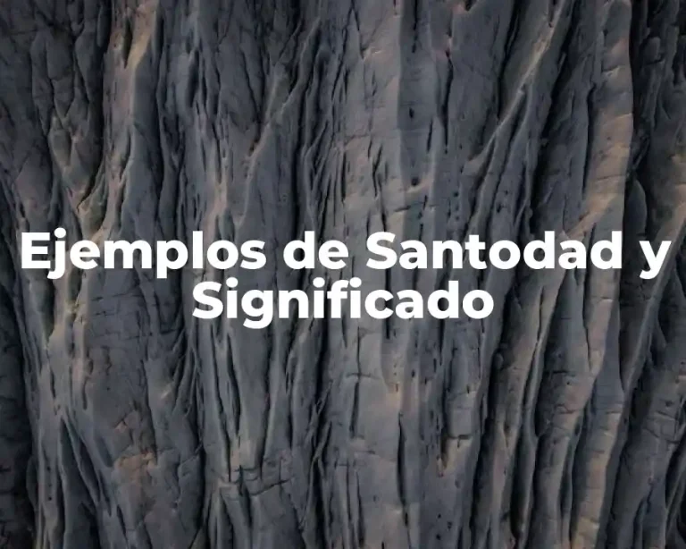 Ejemplos de Santodad y Significado