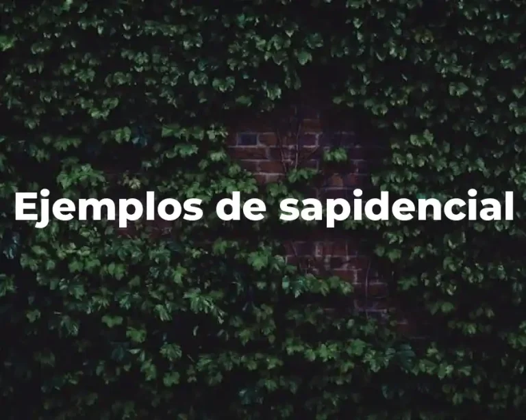 Ejemplos de sapidencial