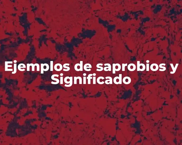 Ejemplos de saprobios y Significado