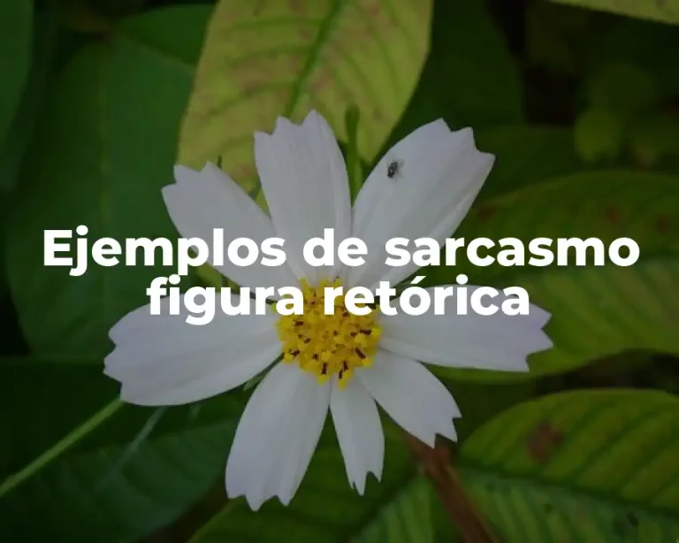 Ejemplos de sarcasmo figura retórica