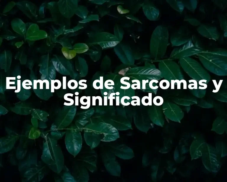 Ejemplos de Sarcomas y Significado