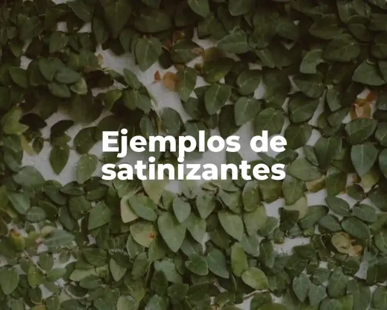 Ejemplos de satinizantes