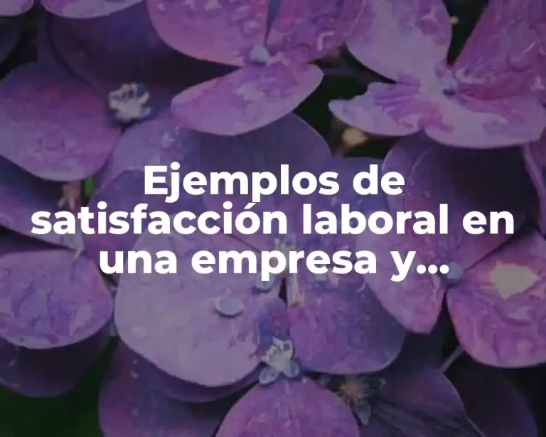 Ejemplos de satisfacción laboral en una empresa y Significado