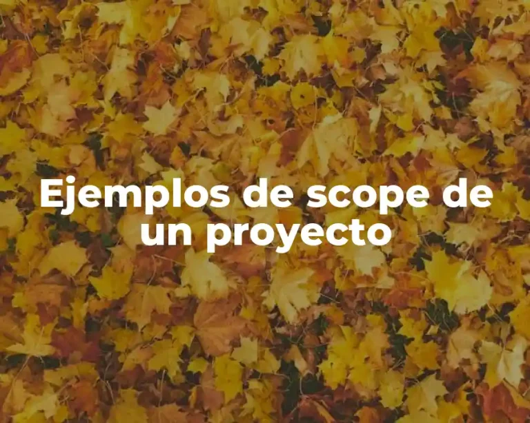 Ejemplos de scope de un proyecto