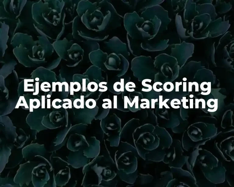 Ejemplos de Scoring Aplicado al Marketing