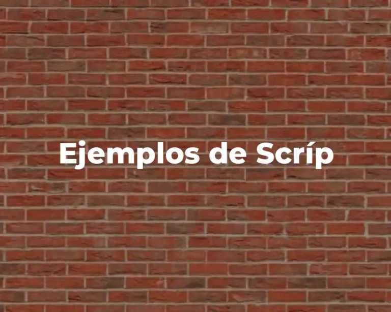 Ejemplos de Scríp