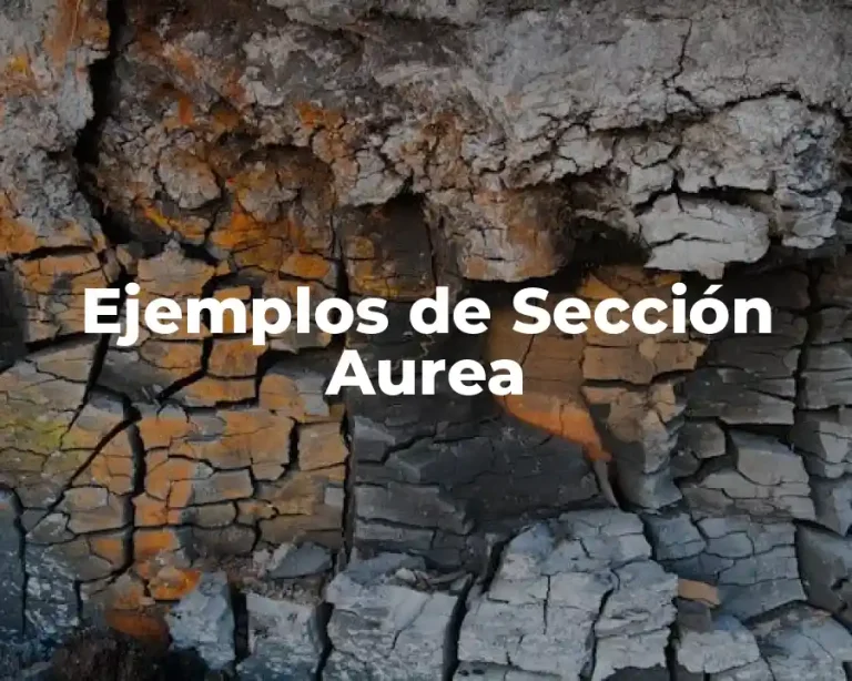 Ejemplos de Sección Aurea