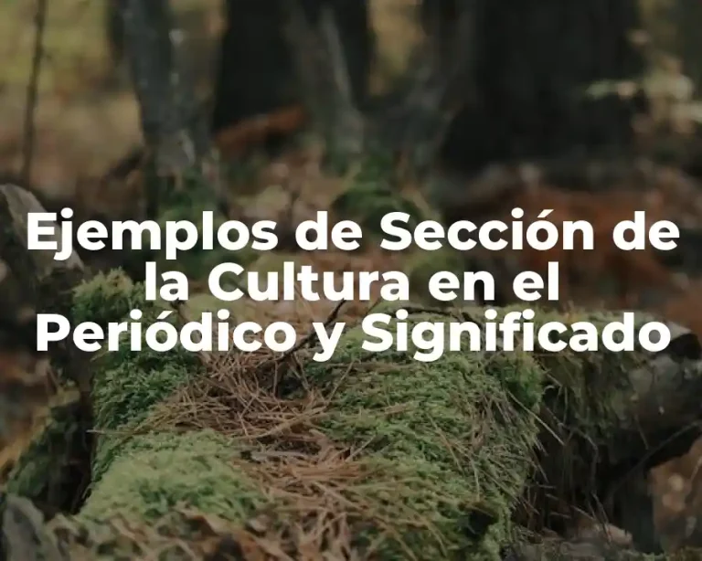 Ejemplos de Sección de la Cultura en el Periódico y Significado