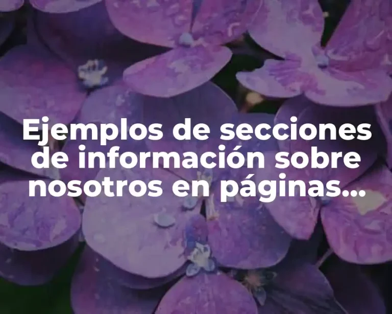 Ejemplos de secciones de información sobre nosotros en páginas web