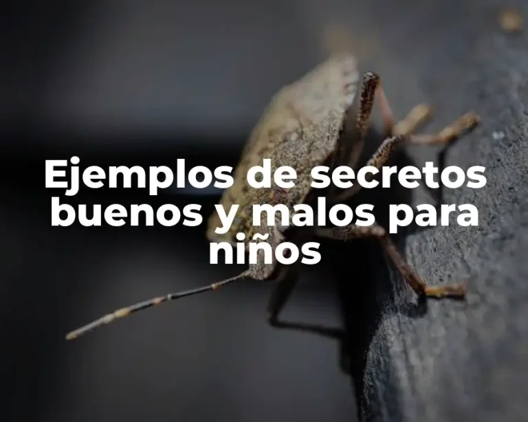 Ejemplos de secretos buenos y malos para niños
