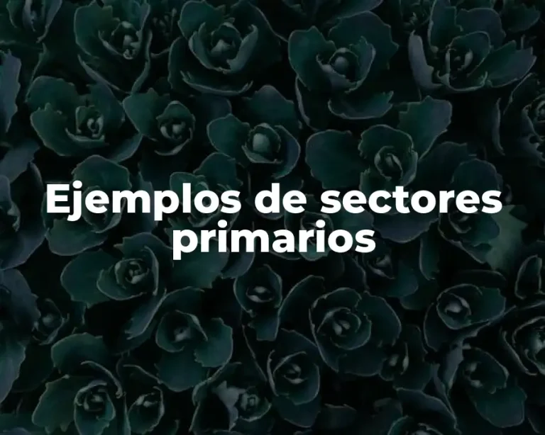 Ejemplos de sectores primarios
