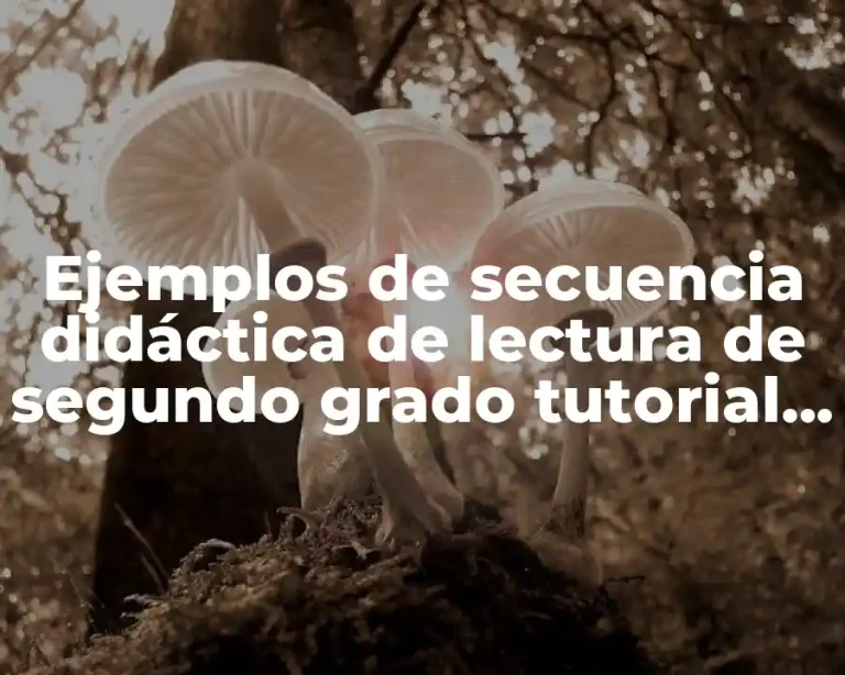 Ejemplos de secuencia didáctica de lectura de segundo grado tutorial y Significado